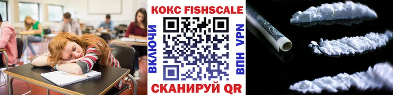 Cocaine FishScale  Купить закладки  Усмань 