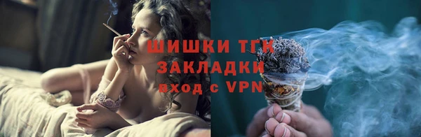 прущие грибы Вязники