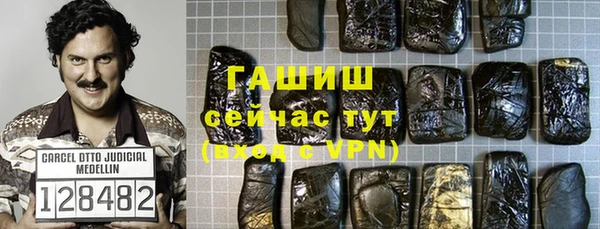 прущие грибы Вязники