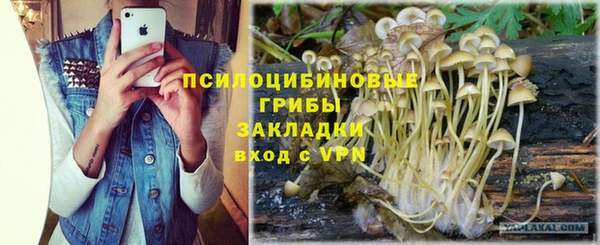 прущие грибы Вязники
