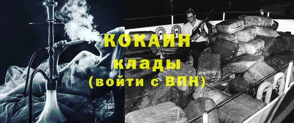 прущие грибы Вязники