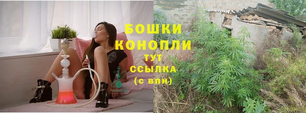 прущие грибы Вязники