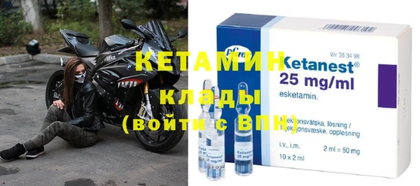 прущие грибы Вязники
